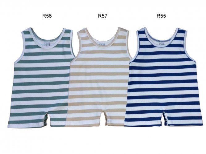 Art. a230 r55 / r56 / r57