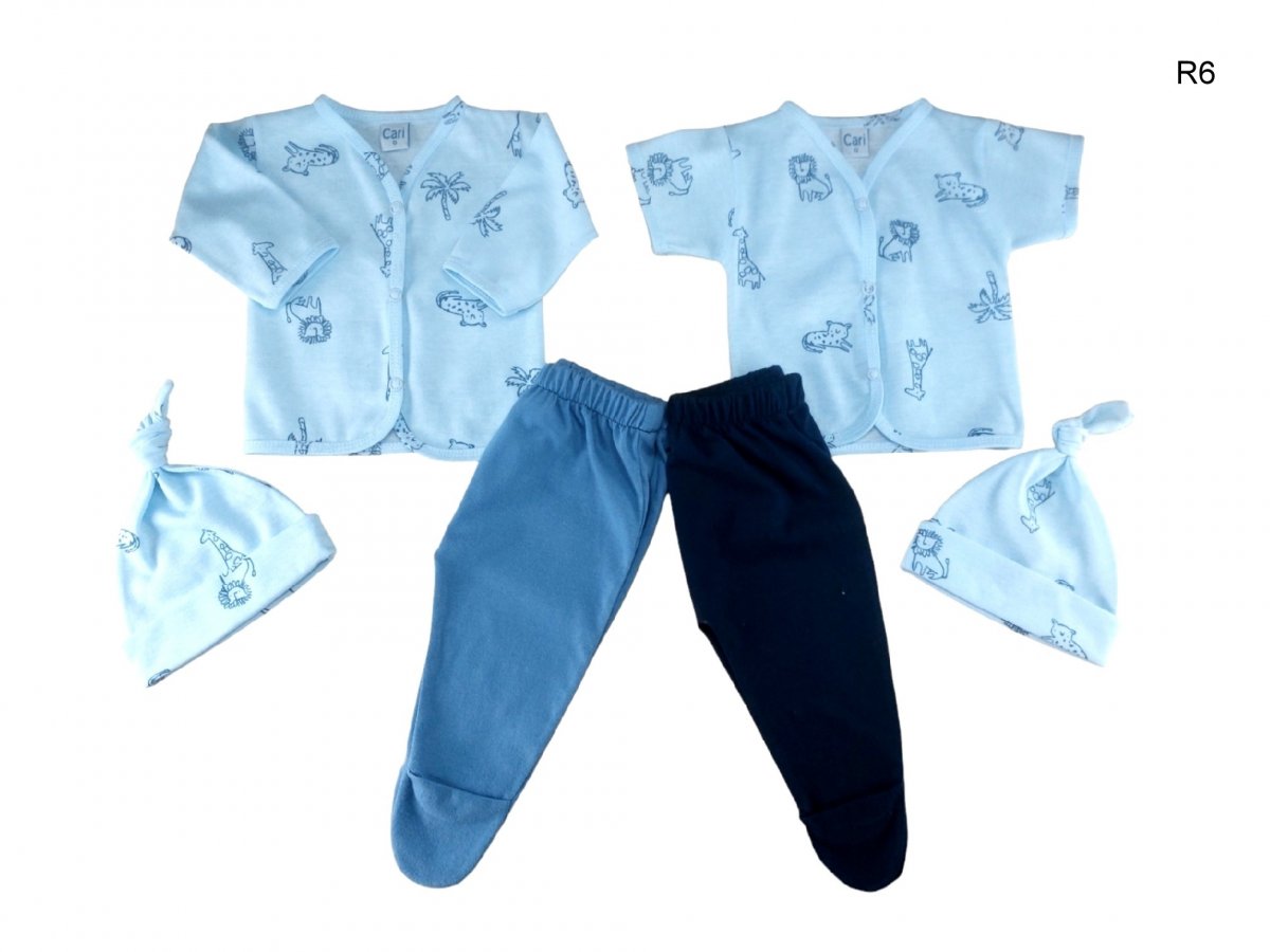 Art: a245 / Art: a246 r6