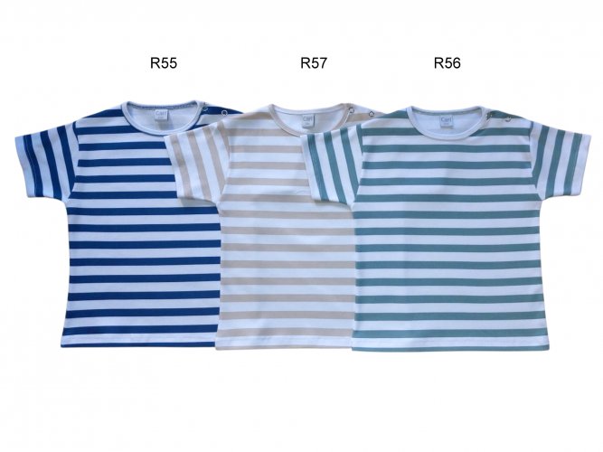 Art. a259 r55 / r56 / r57