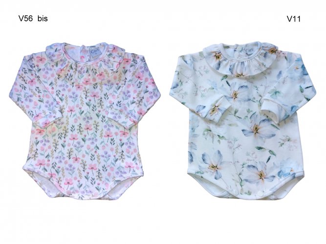 Art. i291  v56 / v11