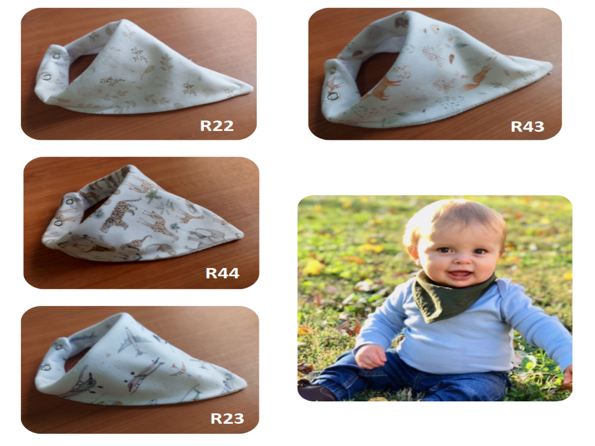 Art 91 r22 / r44 / r23 / r43